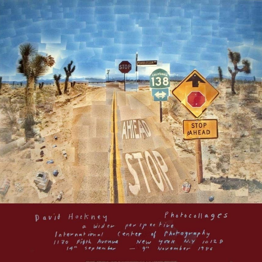 David Hockney Pop Art Multicolor